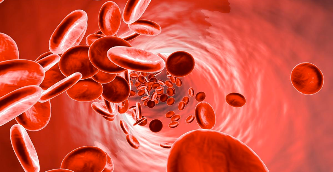 oncohmatologie__1122x581 image Oncogénétique et Oncohématologie