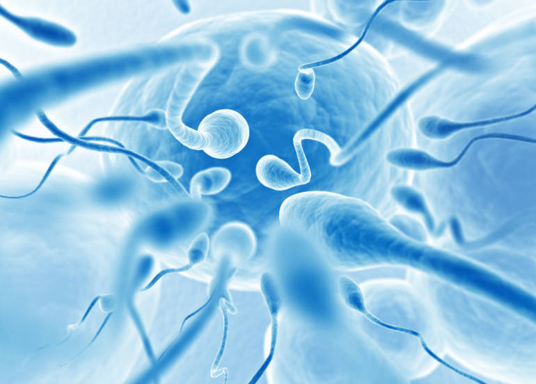 cancers_hommes_infertiles_gallerylarge image cancers_hommes_infertiles_gallerylarge Infertilité